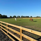 Agricultural & Equine Fencing