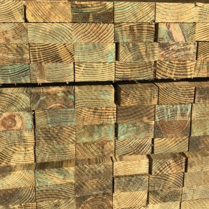 Treated Building Timber (4x2)