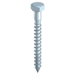 Coach Screws 10x75 each