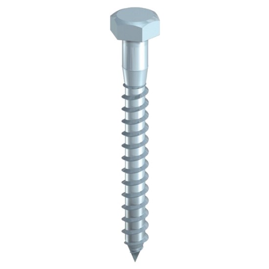 Coach Screws 10x160 each