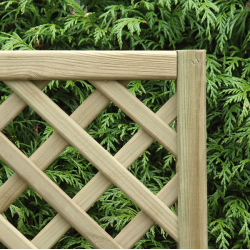 Diamond Lattice Rectangle Trellis