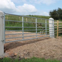 Ashbourne Metal Field Gate