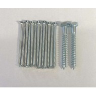 Screw Kit for Metal Repair Spurs