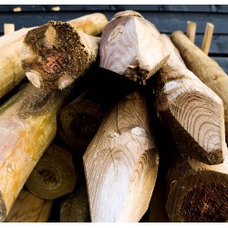 Cundy Peeled Posts
